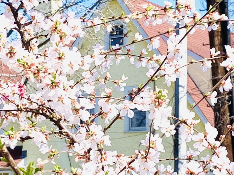 IMG_8077.jpg?type=w966