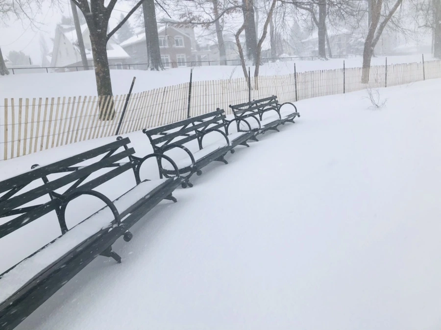 IMG_8823.jpg?type=w966