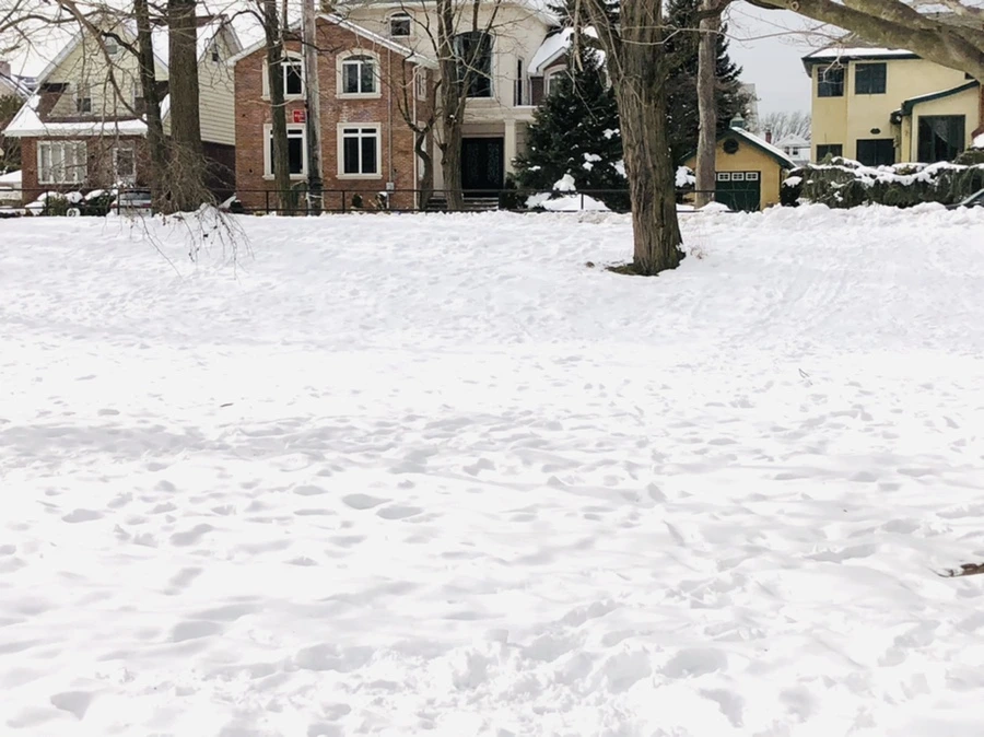 IMG_2396.jpg?type=w966