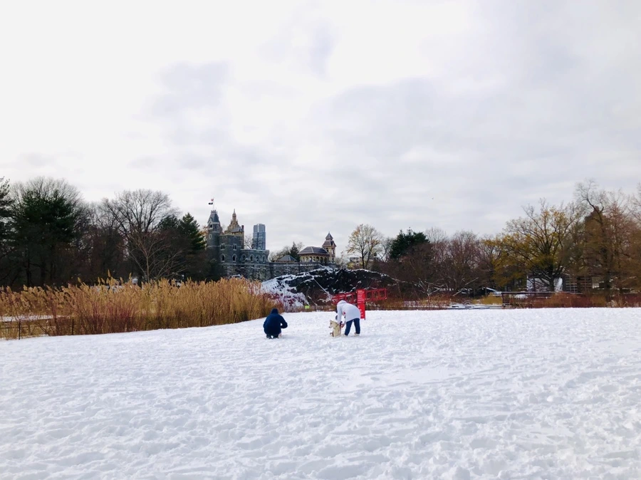 IMG_7295.jpg?type=w966