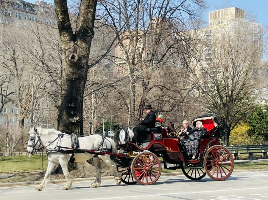 IMG_5474.jpg?type=w966