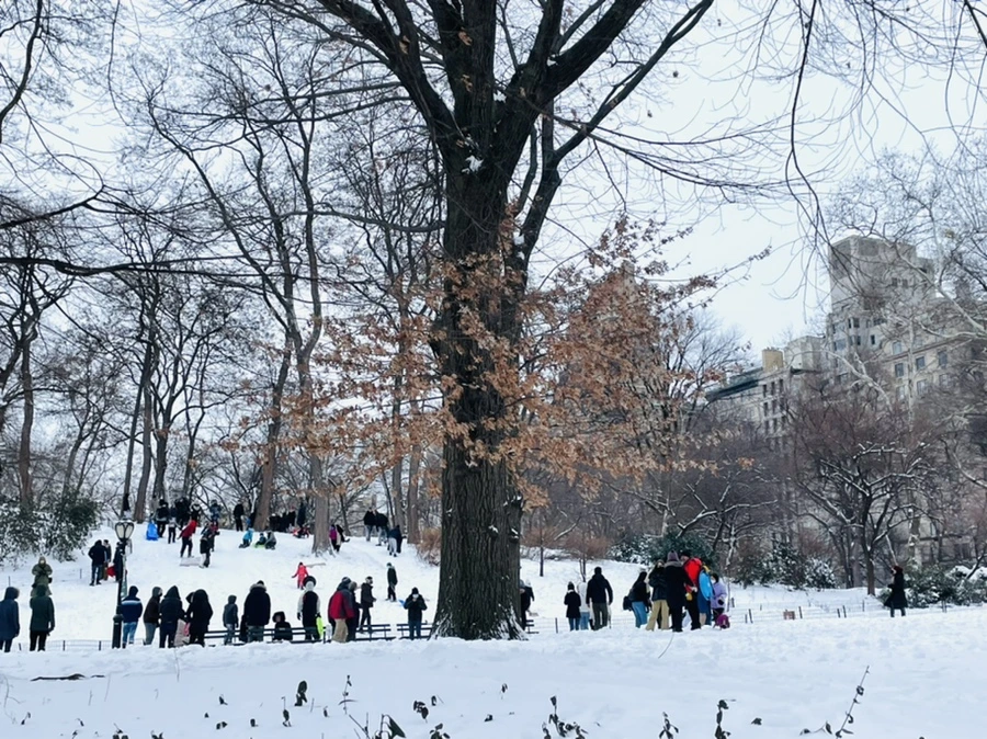 IMG_0829.jpg?type=w966