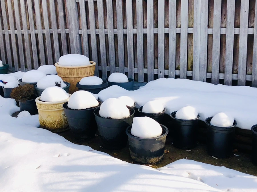 IMG_7730.jpg?type=w966