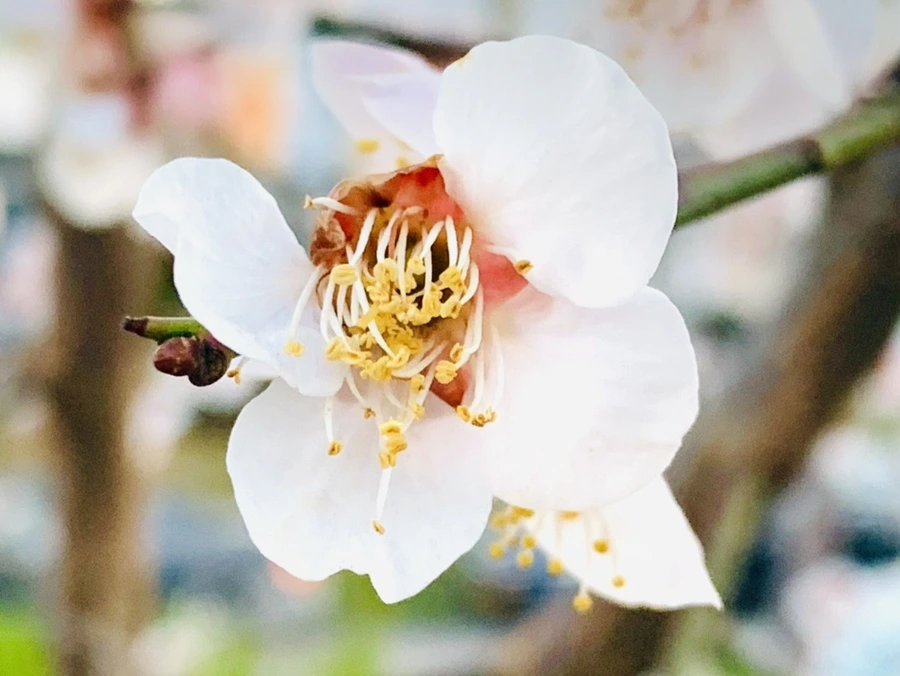 IMG_2353.jpg?type=w966