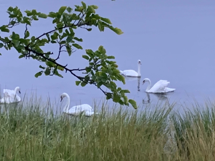 IMG_6623.jpg?type=w966