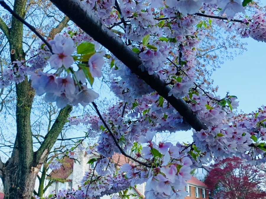 IMG_2632.jpg?type=w966