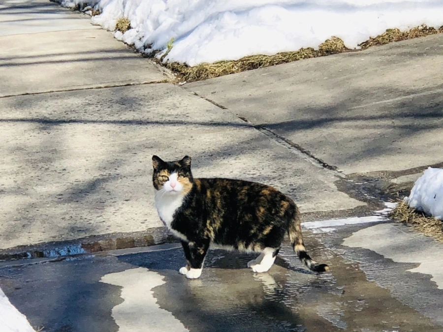 IMG_3920.jpg?type=w966