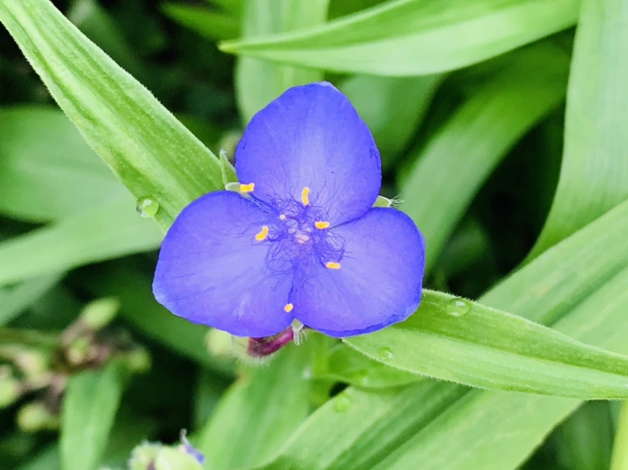 IMG_7170.jpg?type=w966