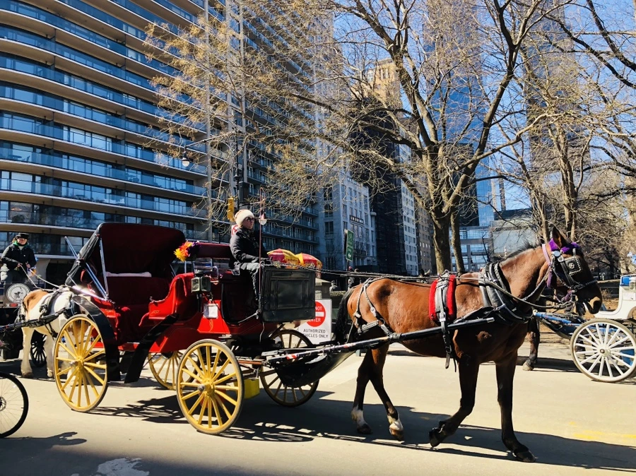 IMG_1191.jpg?type=w966