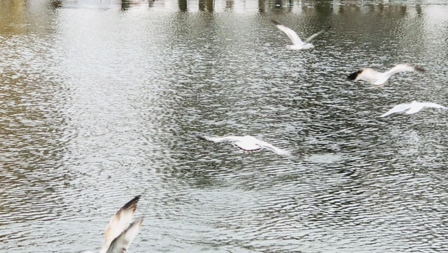 IMG_3264.jpg?type=w966