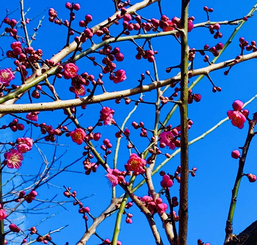 IMG_0657.jpg?type=w966