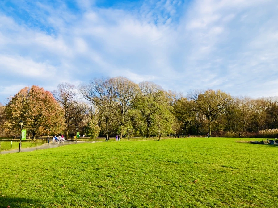 IMG_5011.jpg?type=w966