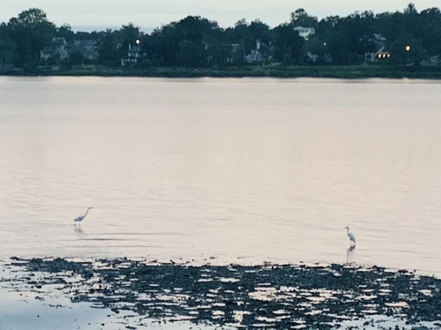 IMG_9544.jpg?type=w966