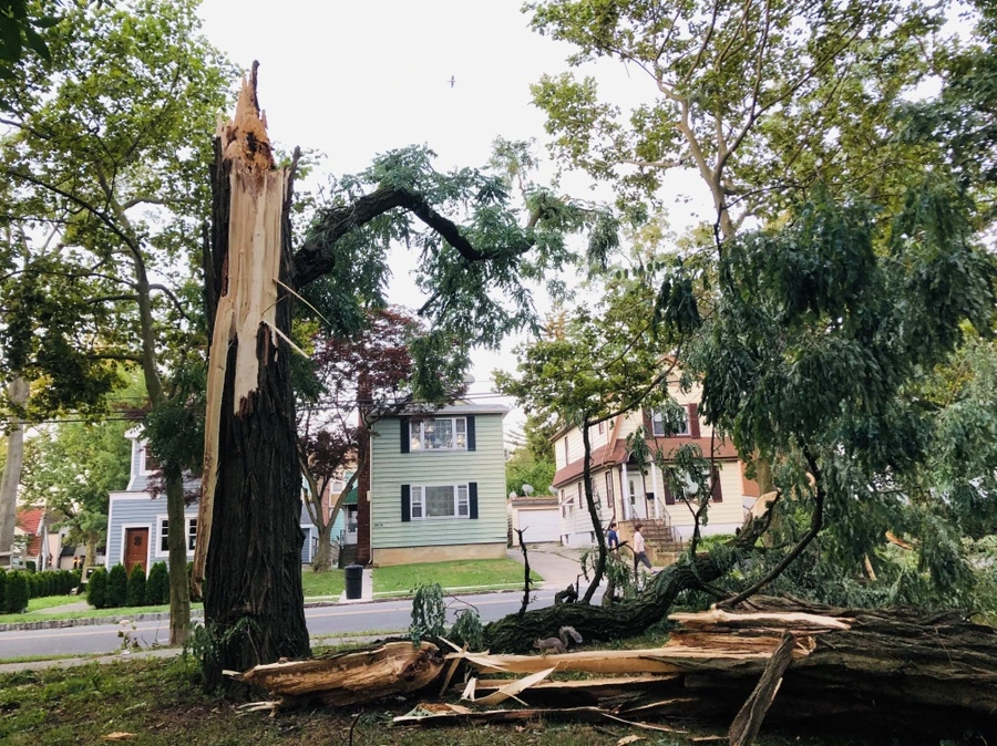 IMG_5847.jpg?type=w966