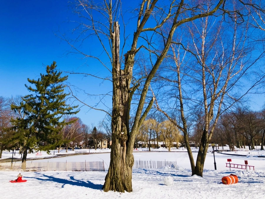 IMG_3954.jpg?type=w966