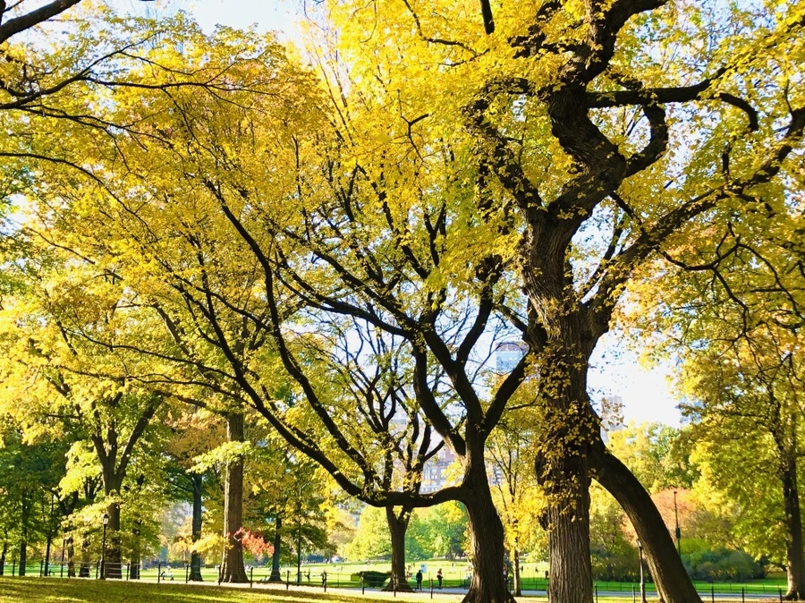 IMG_3489.jpg?type=w966