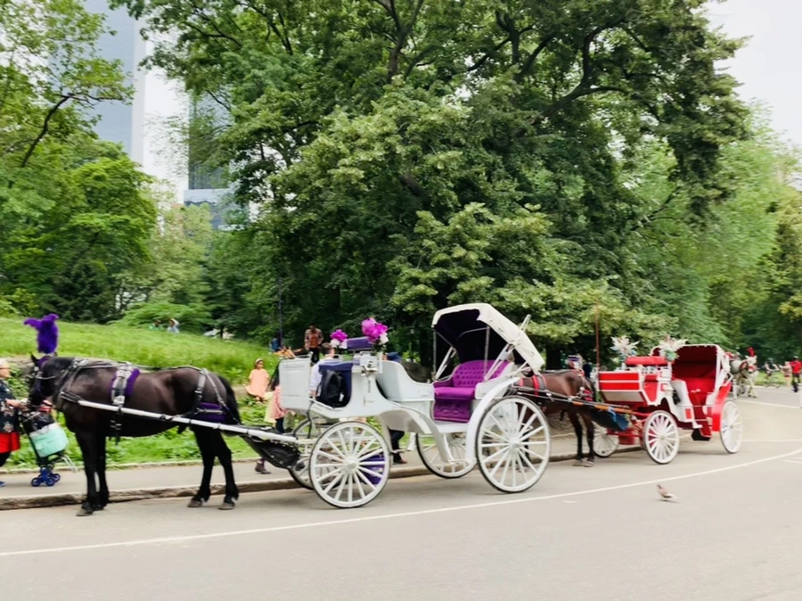 IMG_3292.jpg?type=w966