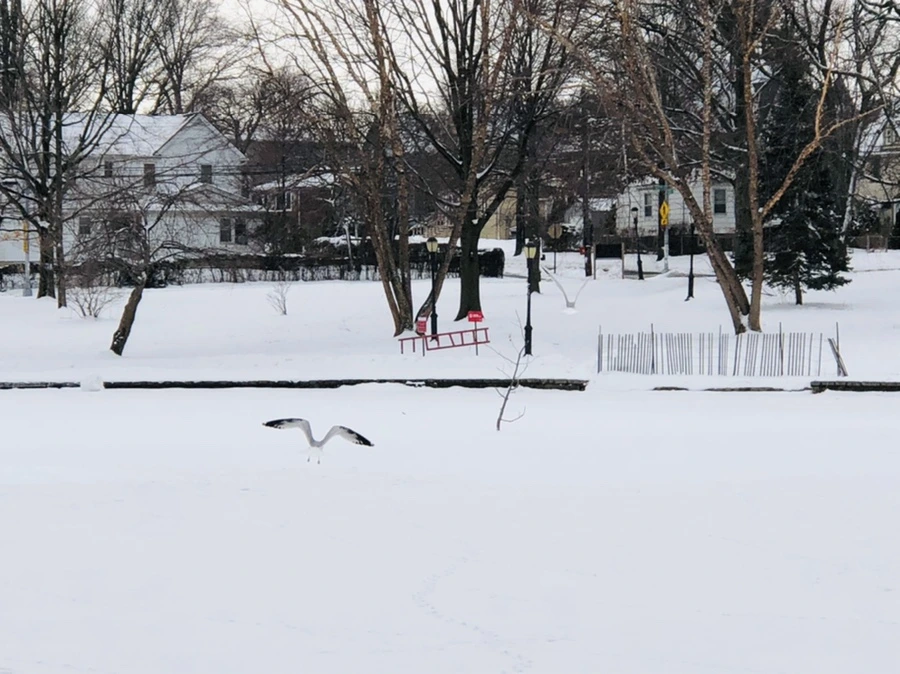 IMG_3766.jpg?type=w966