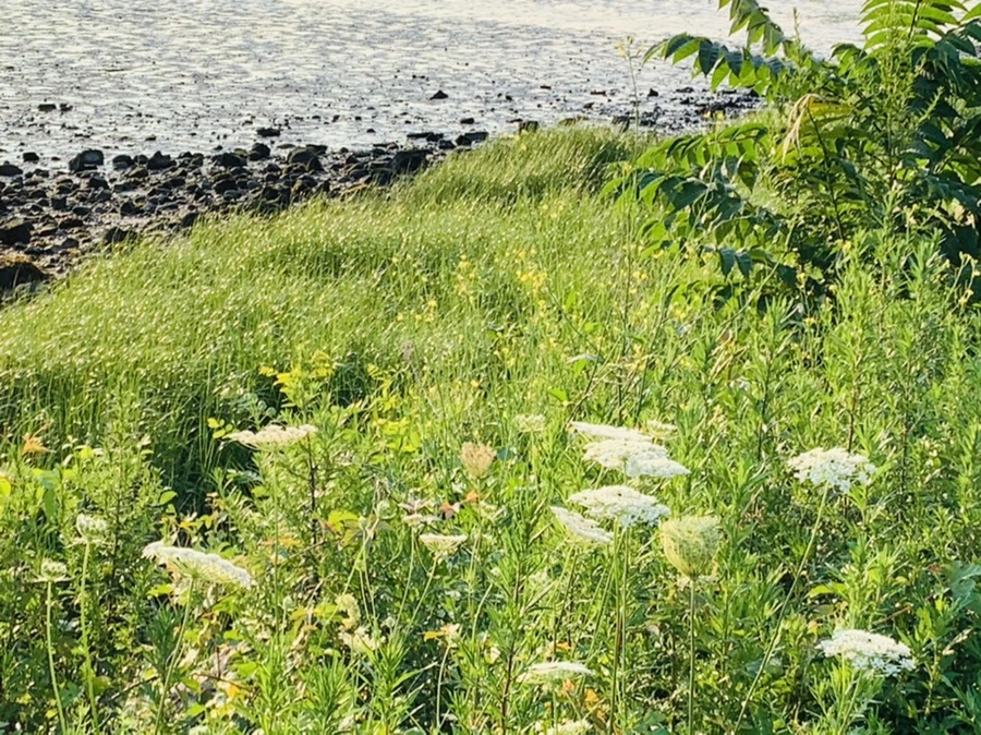 IMG_9811.jpg?type=w966