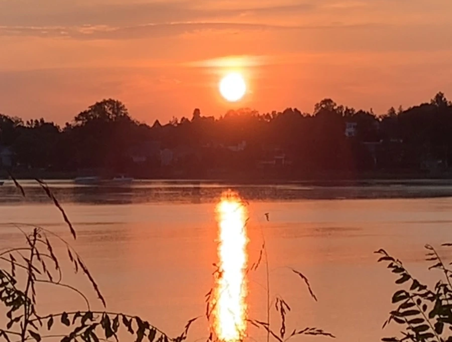 IMG_0989.jpg?type=w966