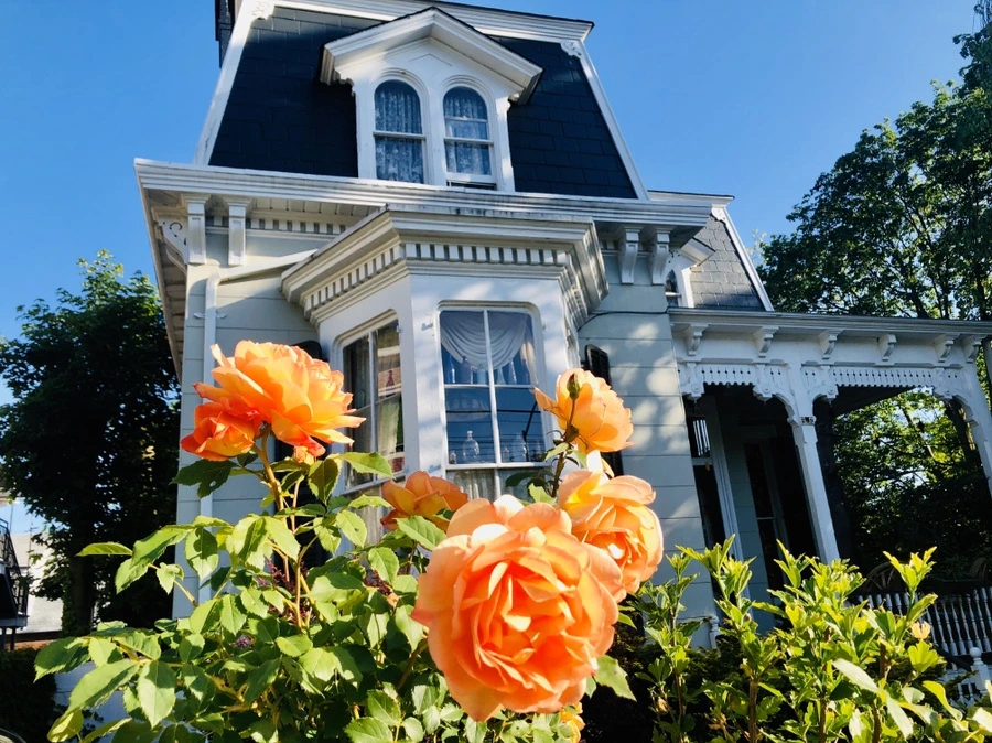 IMG_7454.jpg?type=w966