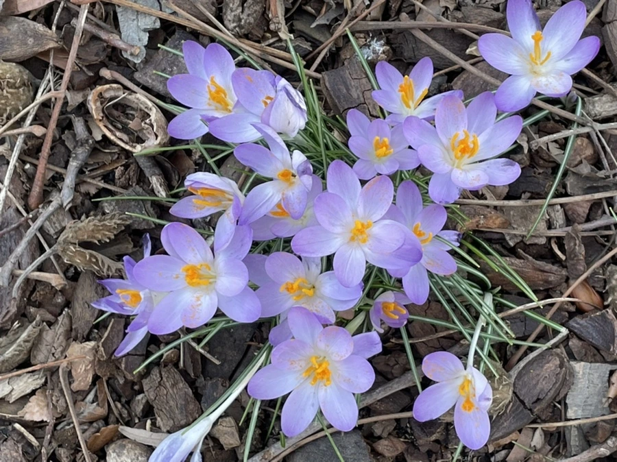 IMG_5348.jpg?type=w966