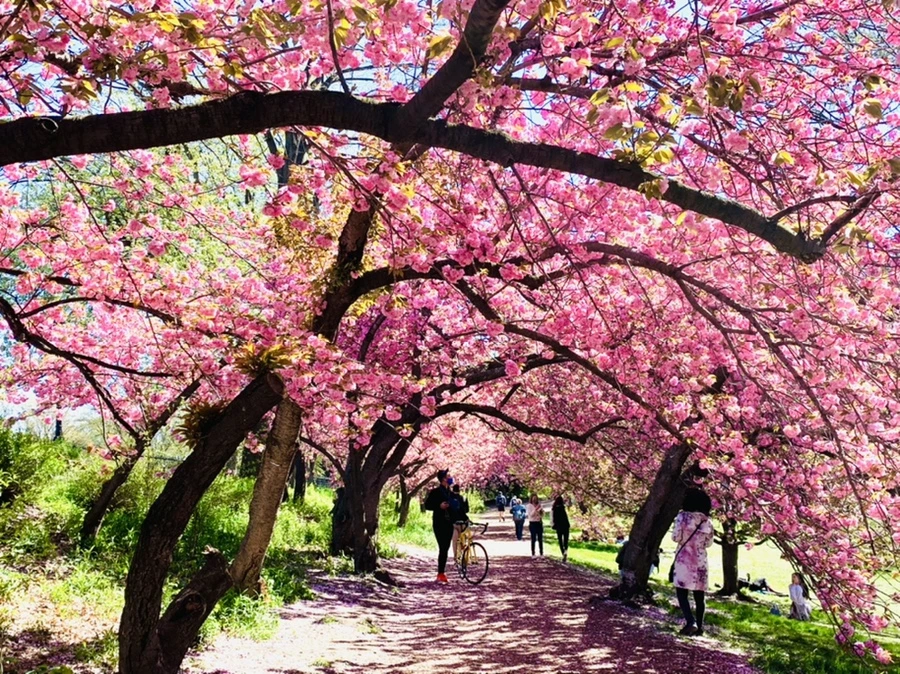 IMG_5963.jpg?type=w966