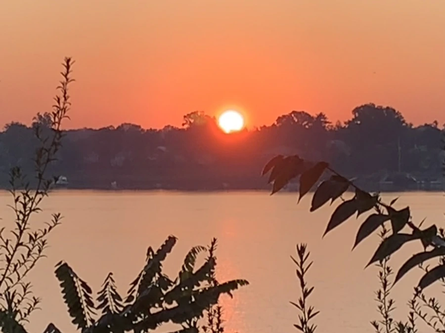 IMG_7182.jpg?type=w966