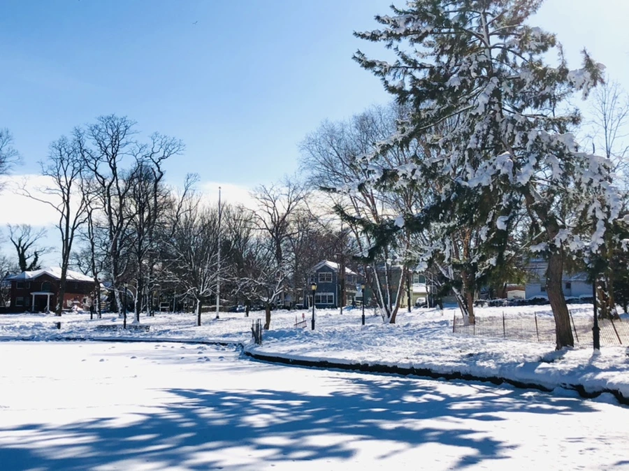 IMG_1345.jpg?type=w966