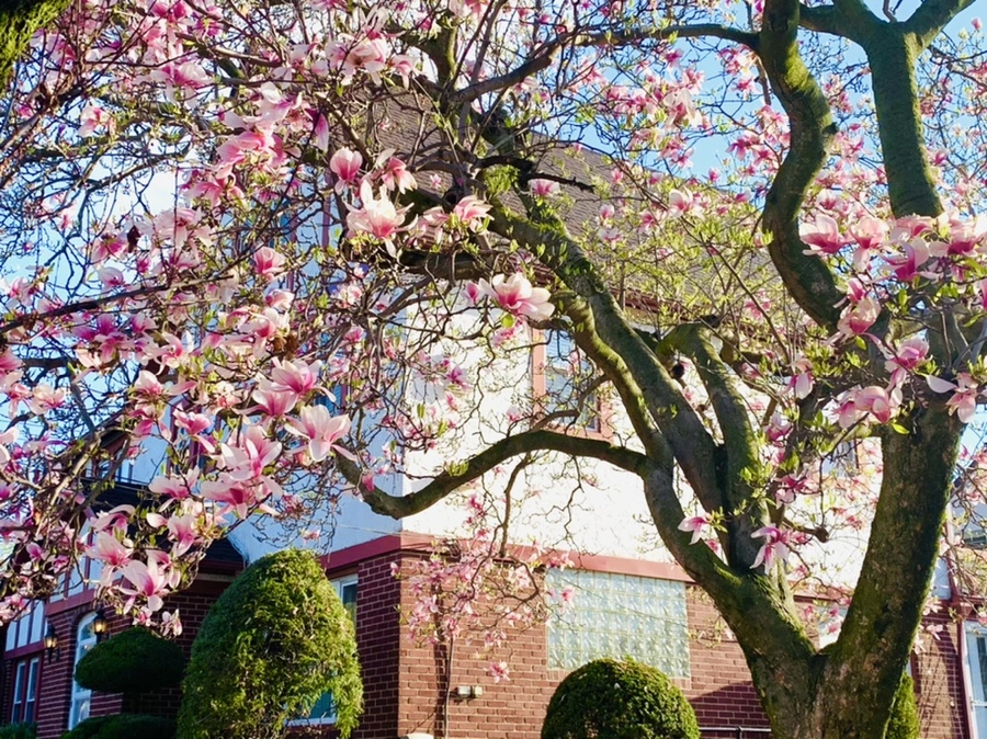 IMG_2697.jpg?type=w966