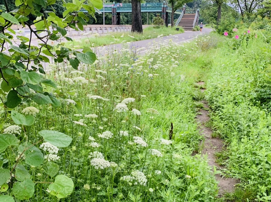 IMG_7128.jpg?type=w966