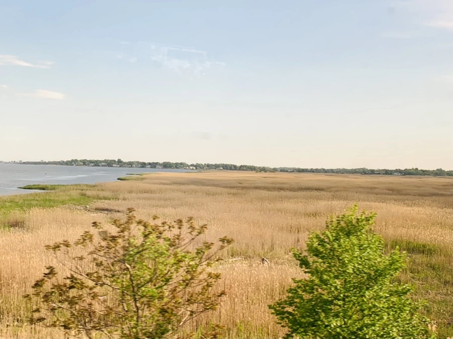 IMG_3198.jpg?type=w966