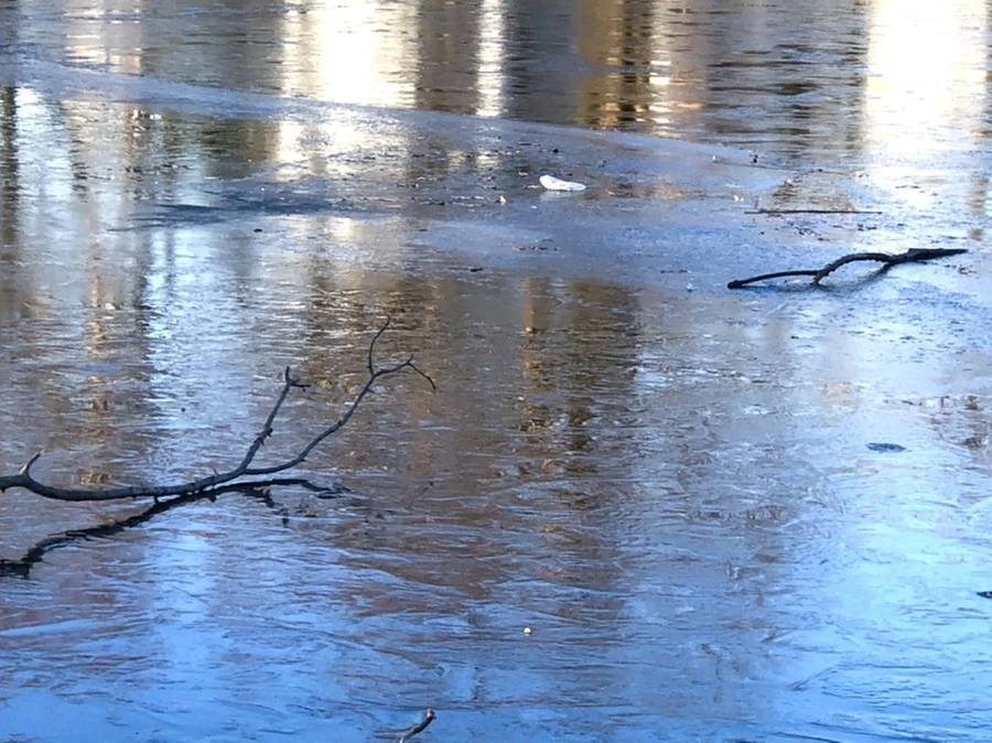 IMG_1402.jpg?type=w966