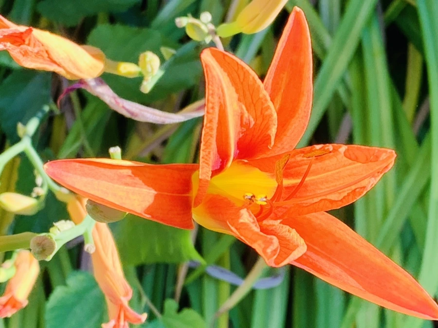 IMG_4855.jpg?type=w966