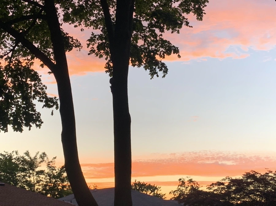 IMG_8200.jpg?type=w966