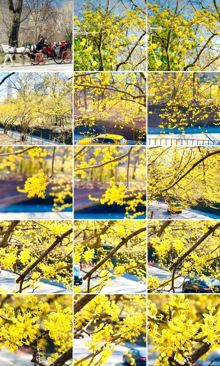 IMG_5648.jpg?type=w966