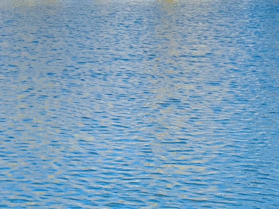 IMG_0625.jpg?type=w966