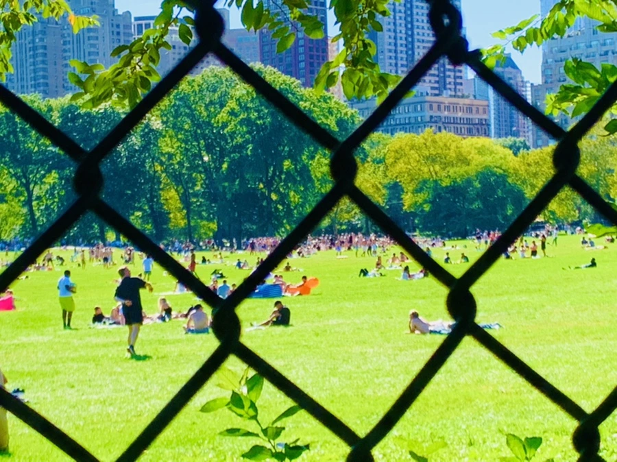 IMG_7661.jpg?type=w966