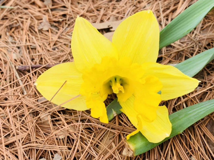 IMG_3454.jpg?type=w966