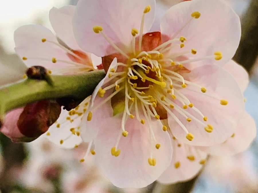 IMG_2803.jpg?type=w966