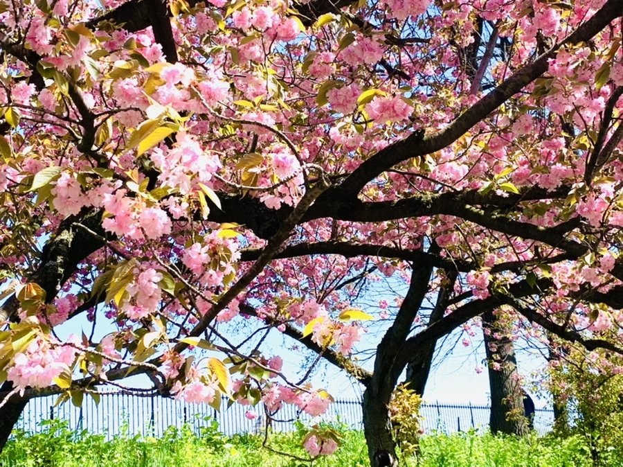 IMG_5843.jpg?type=w966