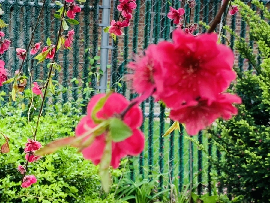 IMG_8019.jpg?type=w966