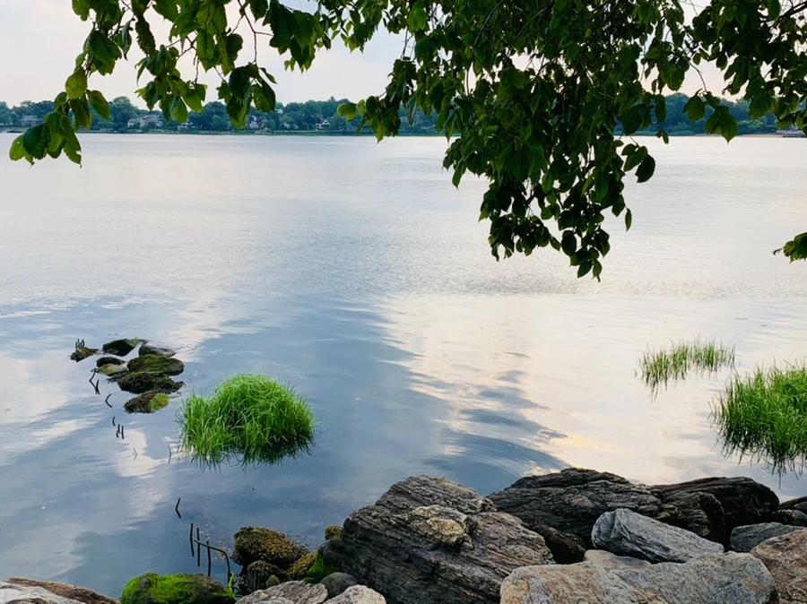 IMG_1605.jpg?type=w966