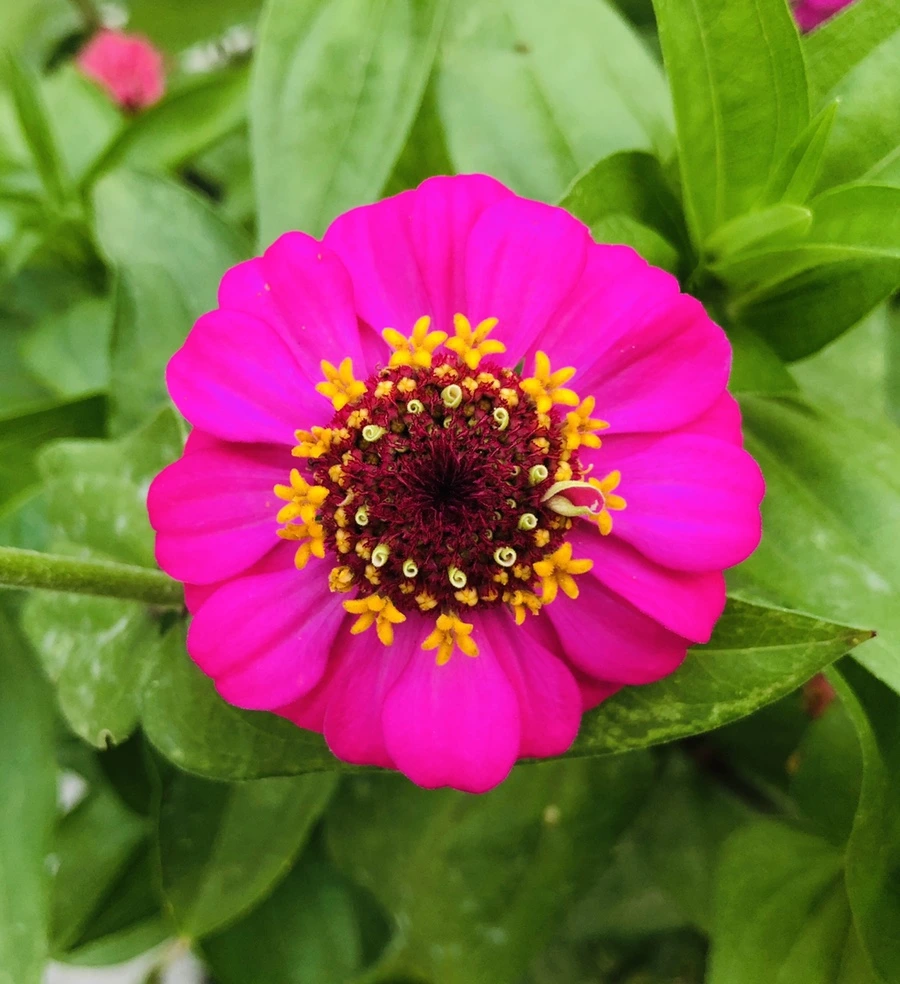 IMG_3648.jpg?type=w966