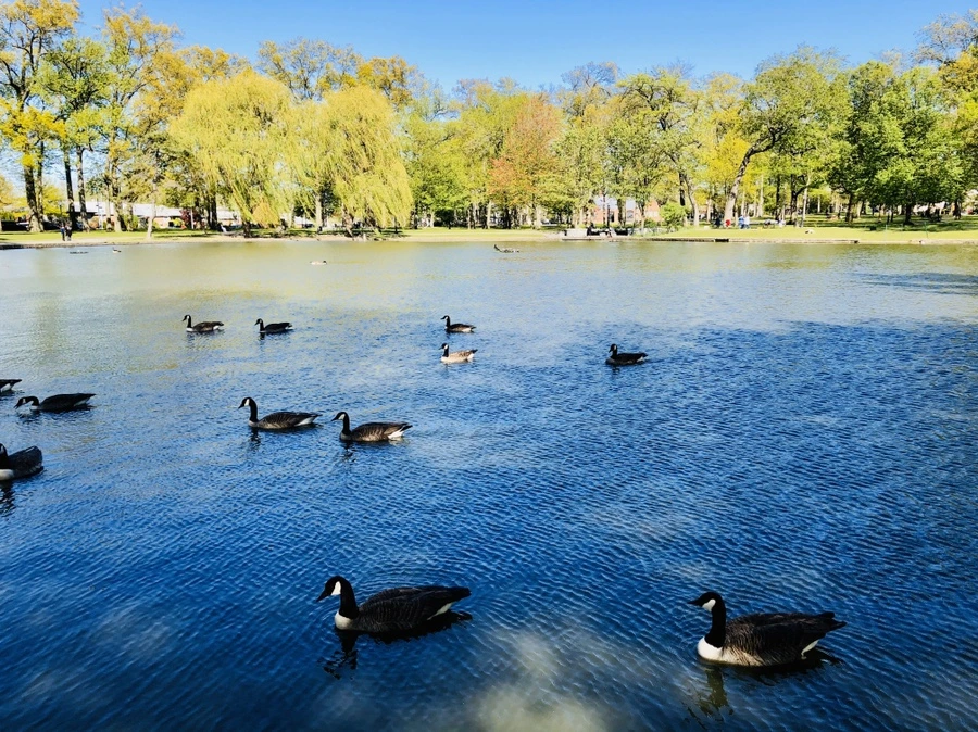 IMG_7290.jpg?type=w966