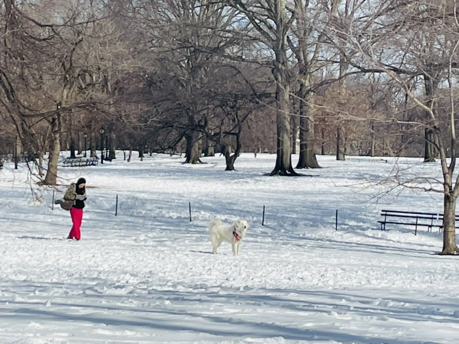 IMG_0984.jpg?type=w966