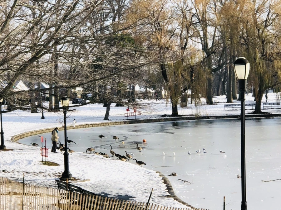 IMG_7748.jpg?type=w966