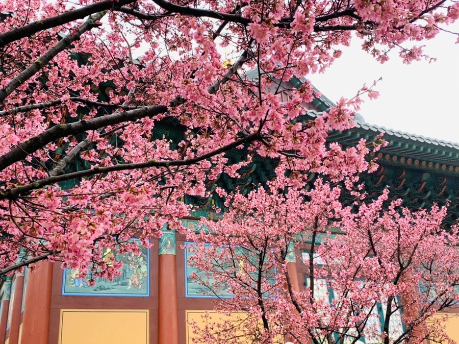 IMG_5214.jpg?type=w966