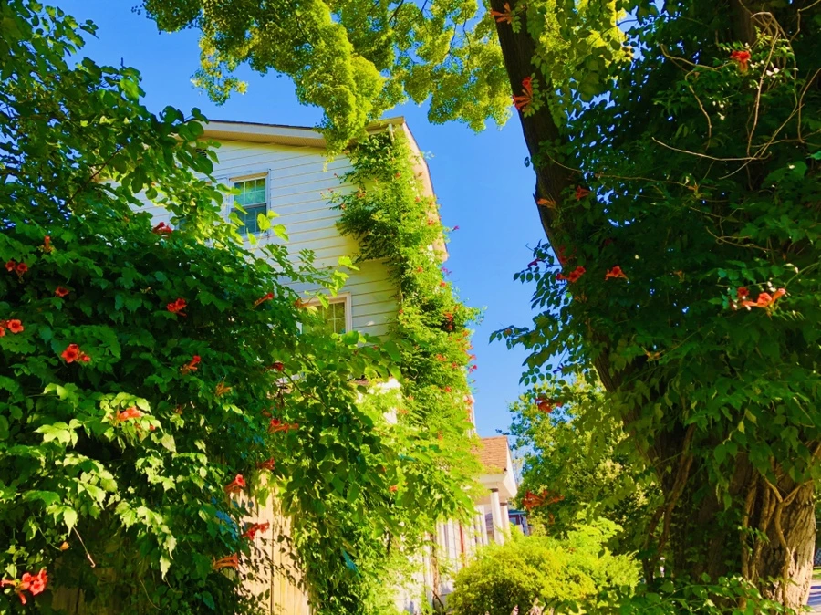 IMG_2771.jpg?type=w966