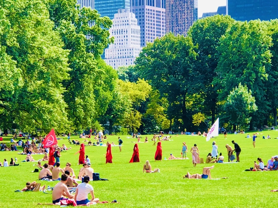 IMG_9532.jpg?type=w966